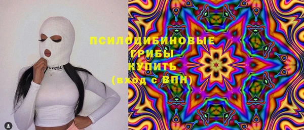 Альфа ПВП Лагань
