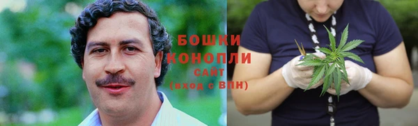 PSILOCYBIN Лабытнанги