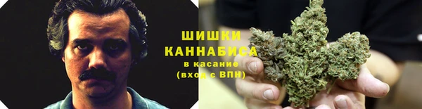 PSILOCYBIN Лабытнанги