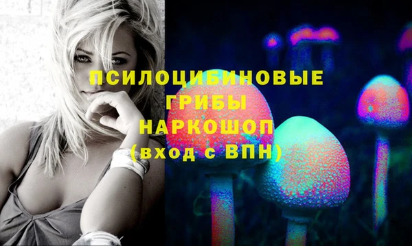 синтетический гашиш Ладушкин