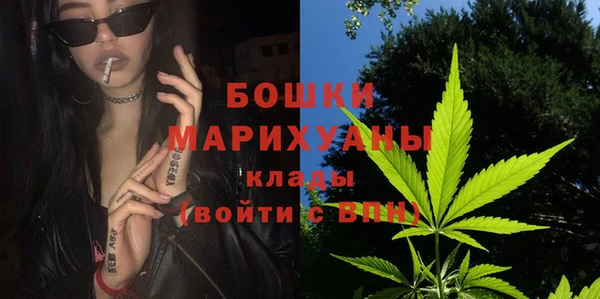PSILOCYBIN Лабытнанги