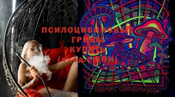 Альфа ПВП Лагань
