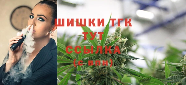Альфа ПВП Лагань