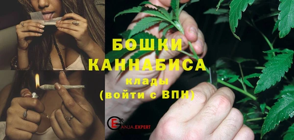 Альфа ПВП Лагань
