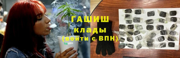 Альфа ПВП Лагань