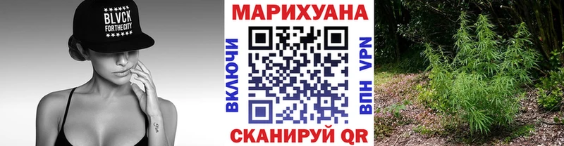 Бошки марихуана конопля  Александровское 